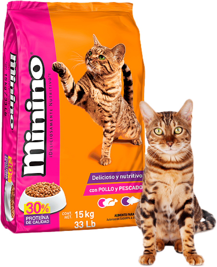 Minino